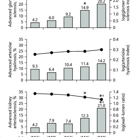 Age And Sex Adjusted Mean Values Of The Log Transformed Glomerular