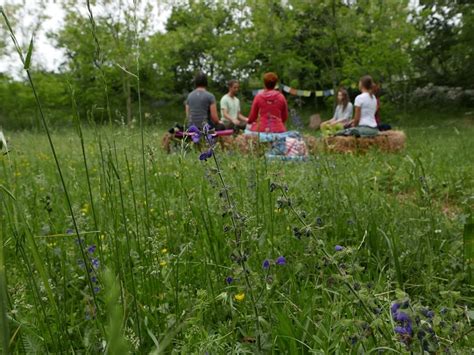 Meditacija Kot Orodje Za Vstopanje V Pristen Stik S Konjem Kami