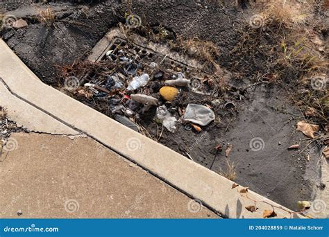 Mud and Trash in a Storm Drain beside a Clean Sidewalk, Pollution Stock ...