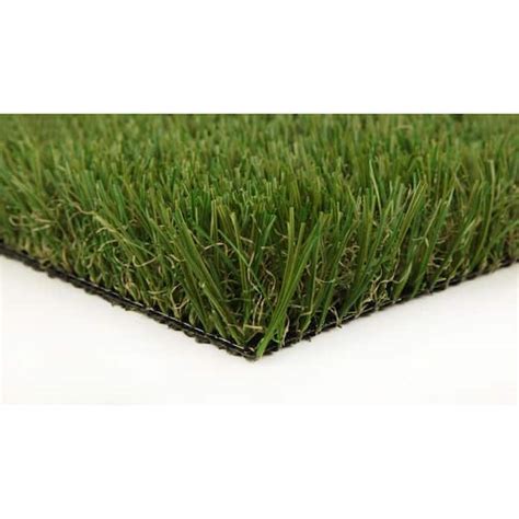 Trafficmaster Classic Pro 82 Fescue Turf 75 Ft X 10 Ft Green