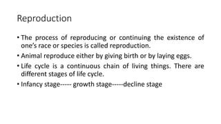 Reproduction in animals and life cycle of animals | PPT | Free Download