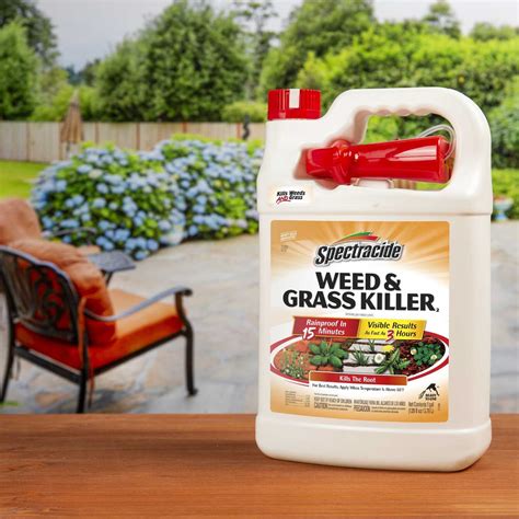 Spectracide Weed And Grass Killer Rtu Liquid 1 Gal Ace Hardware