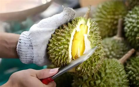 Wochenblitz News Chinesische Durian Begeisterung Stimmt