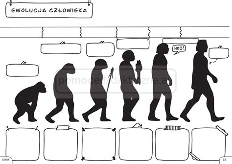 BIOLOGIA GRAFICZNE KARTY PRACY DLA KLASY 8 Pomocedydaktyczne Eu