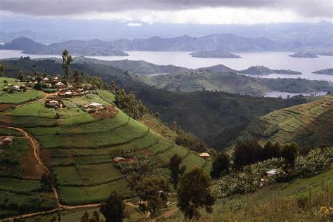 Le Rwanda Parc National Des Volcans Gorilles Des Montagnes Et Singes