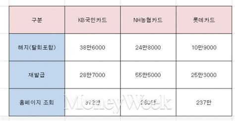 고객정보 유출 카드3사 재발급 및 해지건수 183만건 돌파 머니s