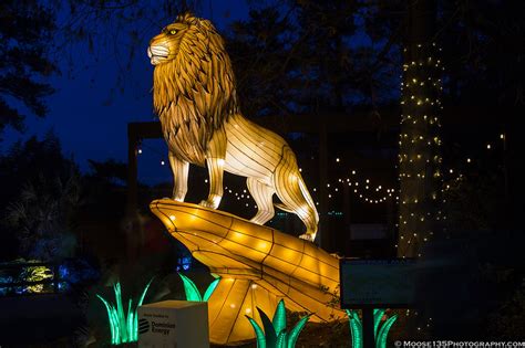 Riverbanks Zoo Holiday Lights 2022 - Moose135 Photography