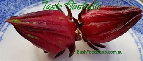 Rosella Flower Bush Tucker Recipes At The Aussie Table