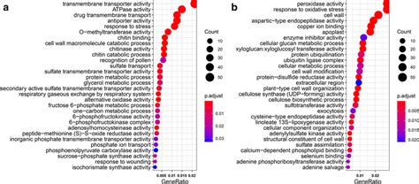 Gene Ontology Go Enrichment Scatter Plot Go Enrichment Analysis