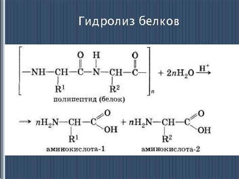 Физические и химические свойства белков Физические свойства