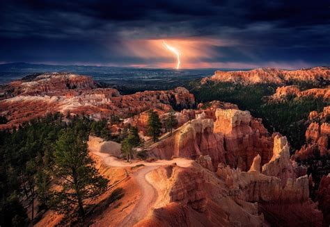 Trees Tree Stump Landscape Sky Nature Canyon Bryce Canyon