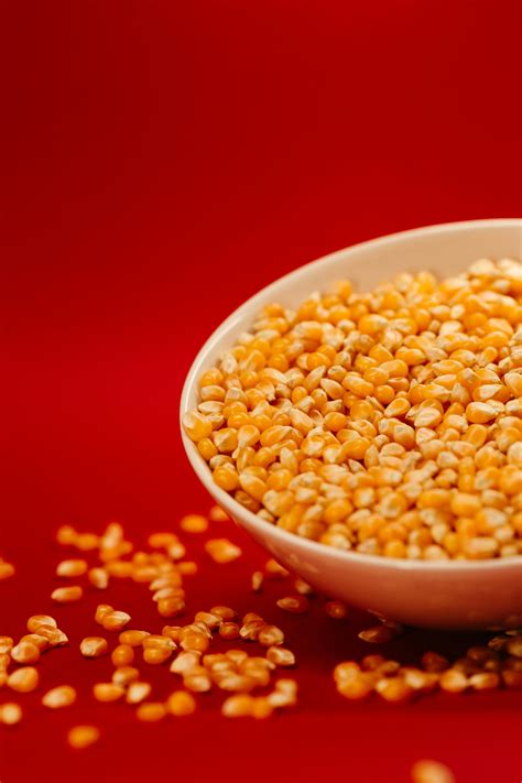 Corn Kernel · Free Stock Photo