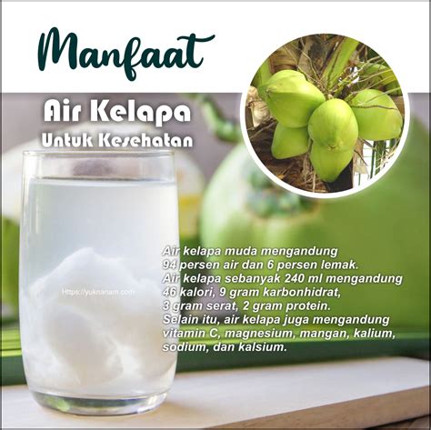 Air Kelapa Muda Sangat Baik Untuk Kesehatan Tubuh Ini Manfaatnya