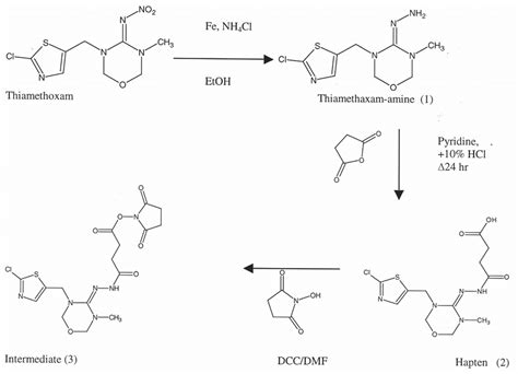 Scheme For Synthesis Of Hapten Download Scientific Diagram