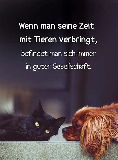 Pin Von Gabi Auf Spr Che Und Zitate Spr Che Tiere Zitate Tiere