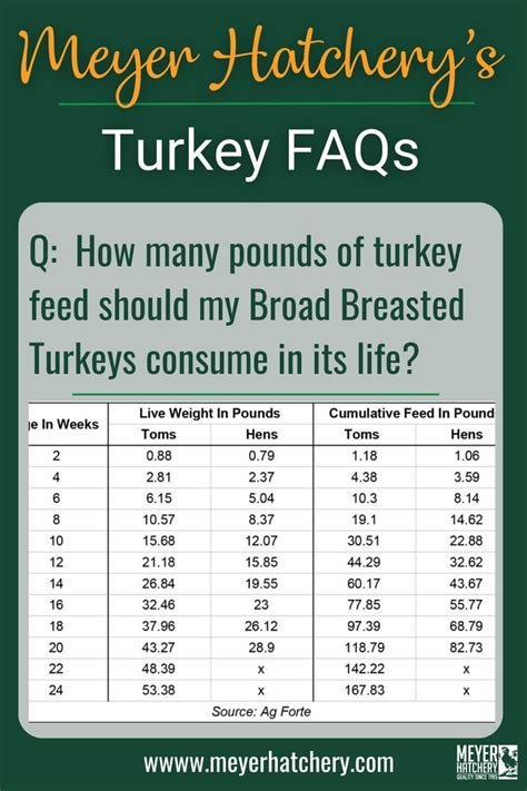 Broad Breasted Turkey Feed Conversion Chart