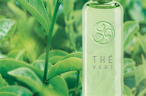 Thé vert, le nouveau parfum frais et léger d'Yves Rocher