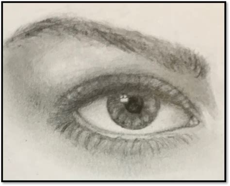 draw  realistic eye mueller park panther press