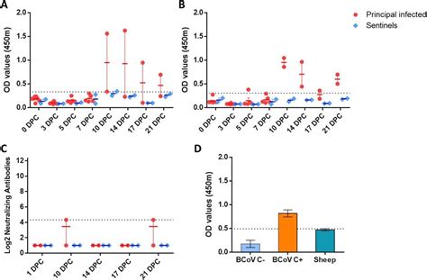 Sheep At Low Risk For Infection With Sars Cov 2