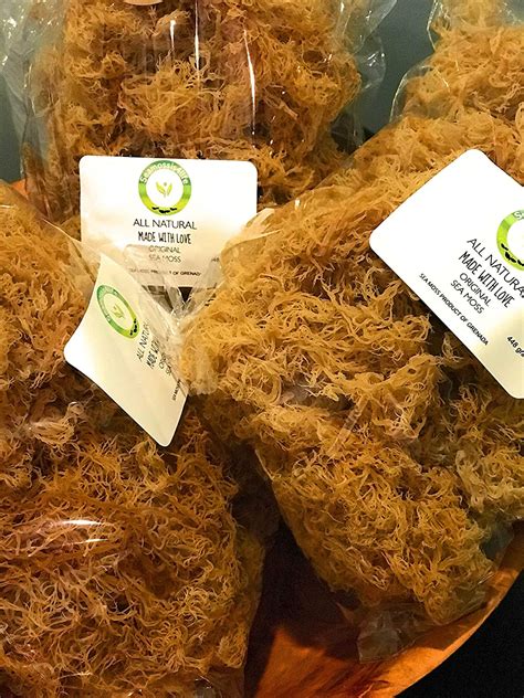 Naturalsea Moss Raw 4 0z Irish Mosschondrus Crispus