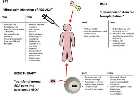 Frontiers | Adenosine Deaminase Deficiency – More Than Just an ... 