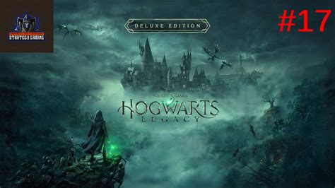 La Stanza Delle Necessita Hogwarts Legacy Gameplay Ita