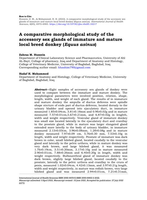 PDF Comparative Morphological Study Of The Accessory Sex Glands Of Immature And Mature Local