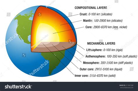 Structure Earth Cross Section Accurate Layers Stock Vector 211961938 ...