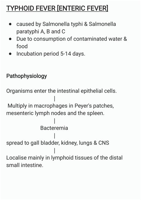 Solution Typhoid Fever Or Enteric Fever Pathophysiology Clinical