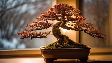 Indoor Deciduous Bonsai: Providing Dormancy & Light - Bonsai Tree Gardener