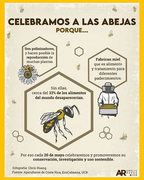 Día Mundial De Las Abejas Infografía Mx