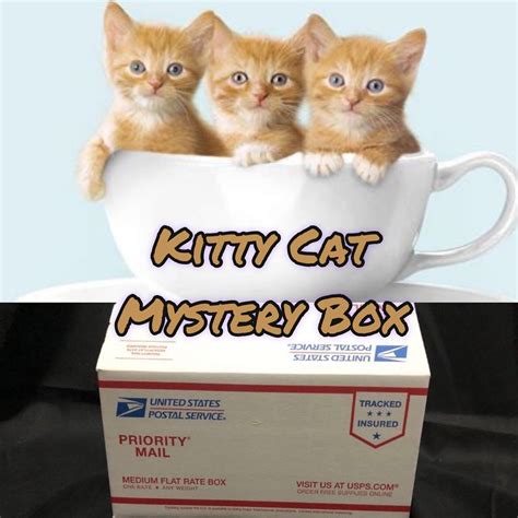 Kitty Cat Mystery Box Mystery Box Box of Cat Items Grab | Etsy