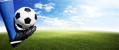 Soccer Ball On Green Playground Soccer Concept Stock Image Image Of