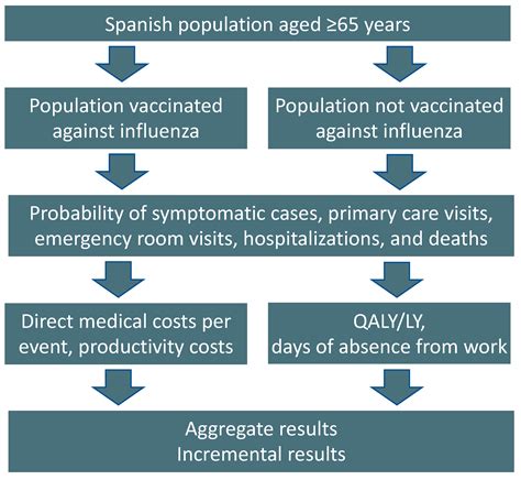 Vaccines Free Full Text An Economic Comparison In The Elderly Of