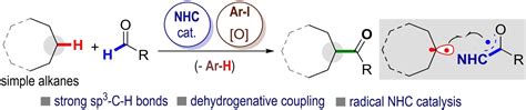 Organocatalytic Ch Functionalization Of Simple Alkanes Su