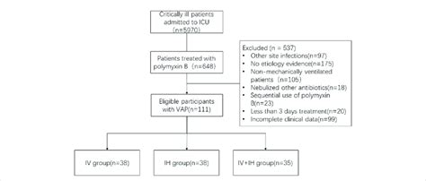 Study flow chart. VAP: ventilation associated pneumonia; IV ...
