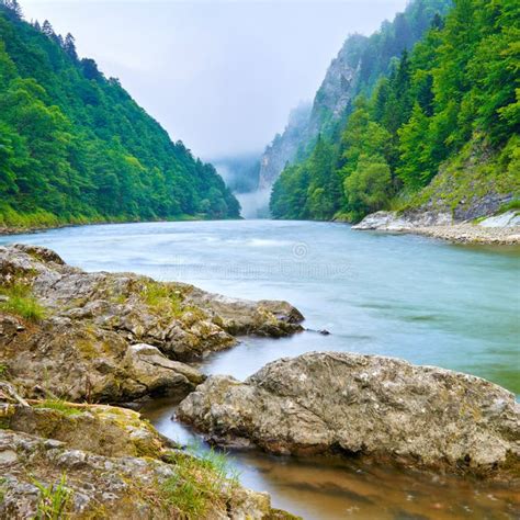 dunajec river gorge poland stock   royalty  stock
