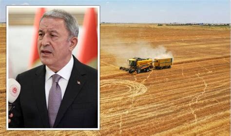 Turkey Announces Breakthrough Deal To Restore Ukrainian Grain Exports