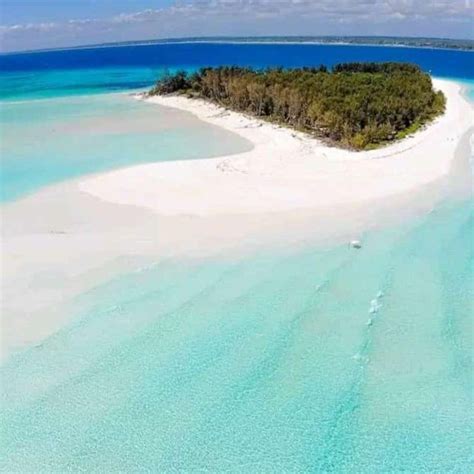 Zanzibar Tour Di Mezza Giornata Con Delfini Dell Isola Di Mnemba E