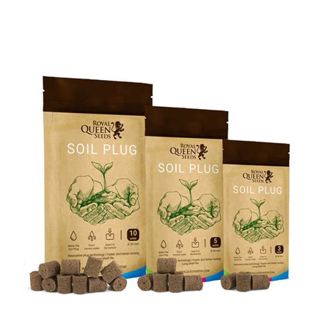 Soil Plugs Royal Queen Seeds