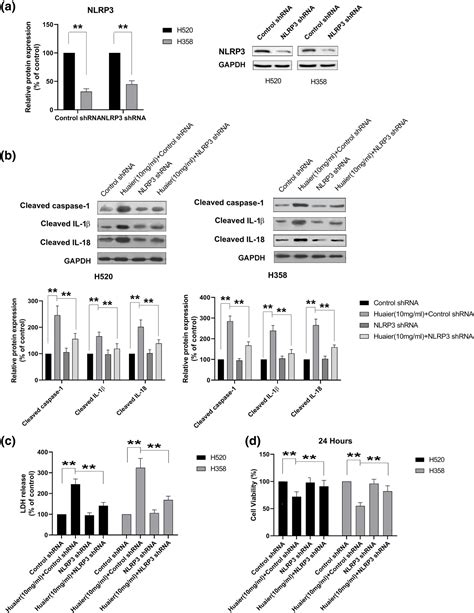 Retracted Huaier Extract Suppresses Nonsmall Cell Lung Cancer