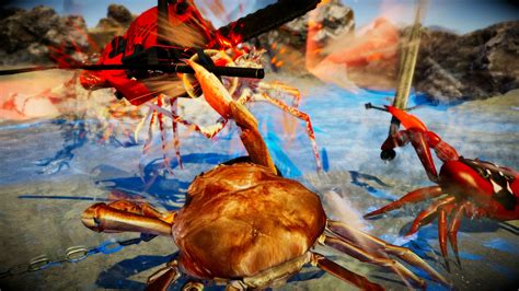 Fight Crab Des Crabes S Affrontent Avec Leurs Pinces Et Des Armes