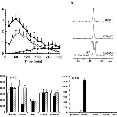 cytosine deaminase activity   cells infected   cea cd