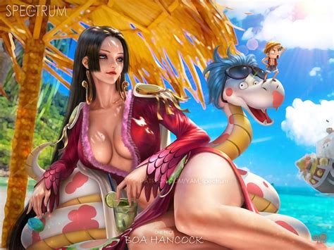 Monkey D Luffy Boa Hancock Salome And Thousand Sunny One Piece