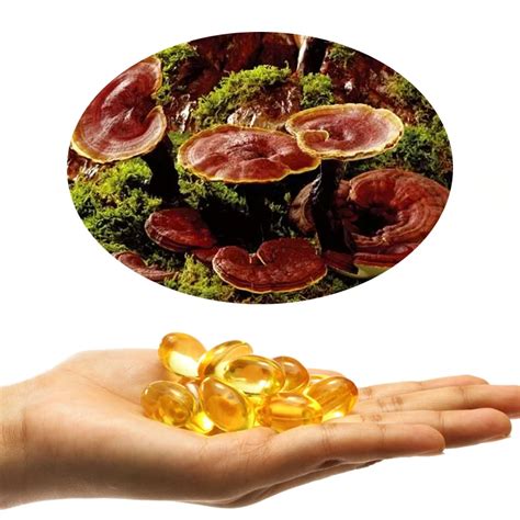 Reishi Mushroom Spore Oil Capsules Ganoderma Lucidum Spore Oil Softgel