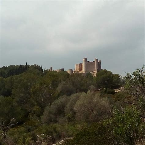 Camí dels Ametllers, Mas de la Viuda, Rambla dels Ametllers, Barranc de