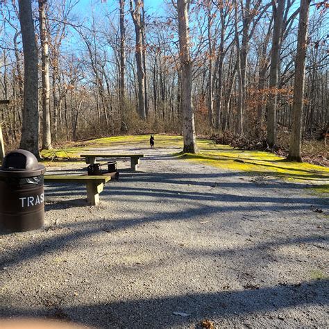 Are Dogs Allowed At Turkey Swamp Park