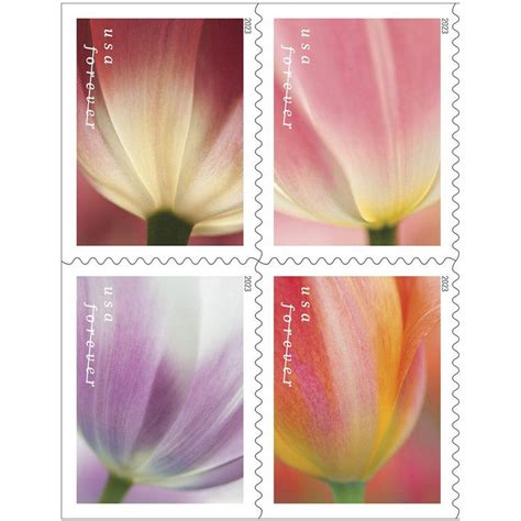 Tulips Blossom Stamps 2023 Forever Postage Stamps 100 pcs – forever stamps