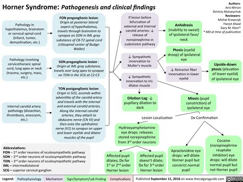 Horner Syndrome: Pathogenesis and Clinical Findings | Calgary Guide