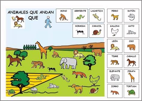 Materiales Los Animales Clasificación Power Point Sobre Los Animale